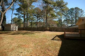 BackYard_2