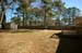 BackYard_2